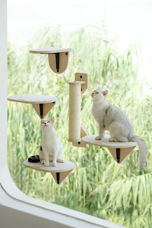 Mewoofun Air Cat Climbing Frame Cat Window Jumping Climbing Platform Glass Suction Cup Wall Shelf Cat Scratching Post Set