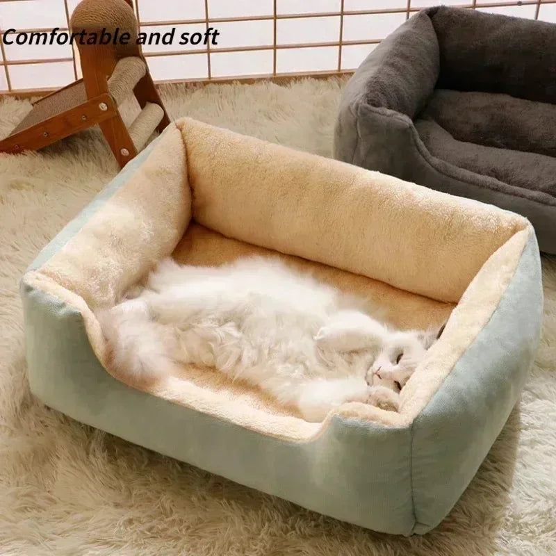 Bed for Cats Pet Products Cushions Kitten Goods Accessories Dog All Houses Supplies Things Accessory Habitats Basket House Beds